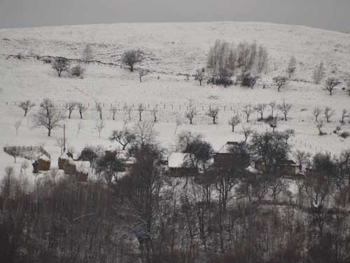 Foto La N-NV pe valea Domosa (c) Petru Goja